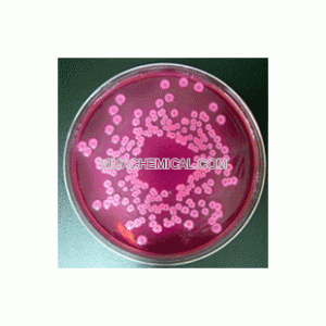 HÓA CHẤT TINH KHIẾT MERCK, TÂY BAN NHA, TQ,...