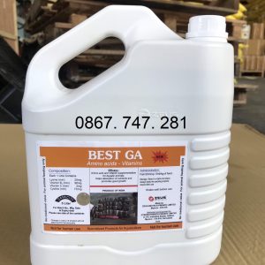 Best Ga - Thảo dược bổ gan dạng nước
