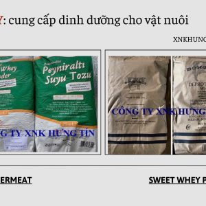THỨC ĂN CHĂN NUÔI