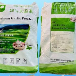 GARLIC POWDER 25% (BỘT TỎI)