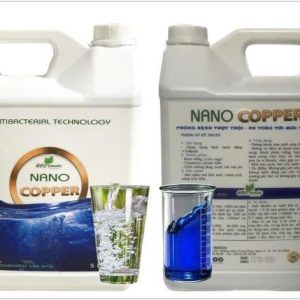 Nano Cu, Nano Ag+, sát trùng diệt khuẩn, kiểm soát EHP