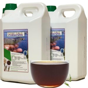 Thảo dược gan Helica, tái tạo tế bào gan, phòng trị bệnh gan