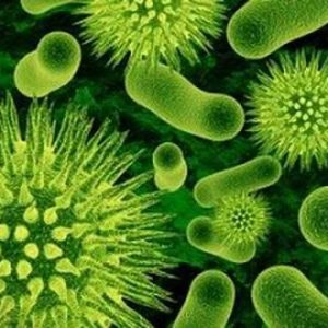 Immunepath-IP(dạng tan và không tan)