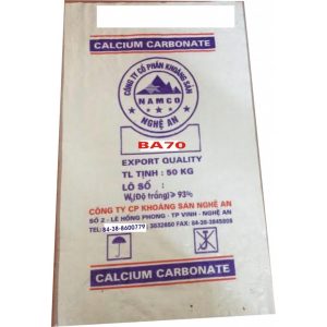 Bột CaCO3 (Bột sản xuất sơn, bột bã tường)