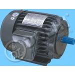 motor 3 Phase