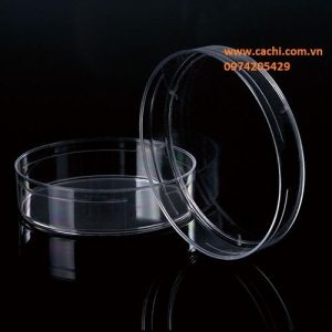 Đĩa petri nhựa 90x15mm tiệt trùng