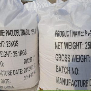 Paclobutrazol 15% WP tăng trưởng