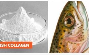 COLLAGEN