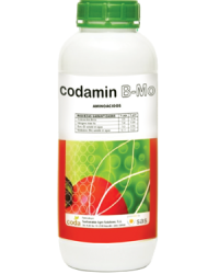 codamin B-Mo