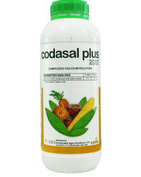 codasal plus 2000