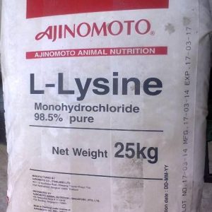 L- LYSINE 98,5% DẠNG NGUYÊN LIỆU