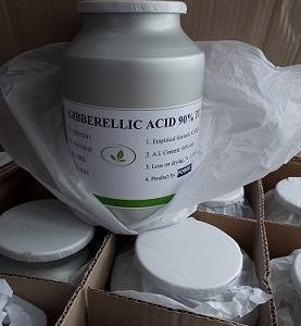 GA3 90% - CHẤT KÍCH THÍCH SINH TRƯỞNG